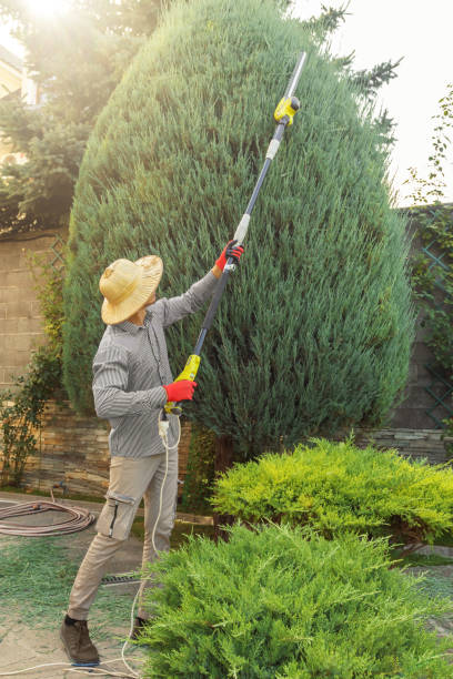 Best Pest Control for Lawns  in Big Lake, MN